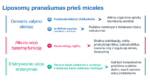 Sesderma Sensyses Ovalis liposominis valiklis seborėjiniam dermatitui, 200 ml - Image 2