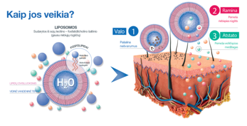 Sesderma Sensyses Ros liposominis valiklis raustančiai odai, 200 ml - Image 2