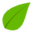 cropped leaf 1
